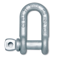 Forged Alloy Chain Shackle with Screw Pin ()